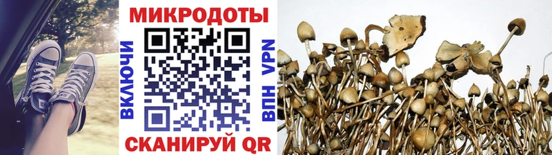 Купить где  Семилуки  Галлюциногенные грибы Magic Shrooms 